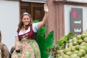 Winzerfest-Umzug 2014, 21.09.2014, Groß-Umstadt