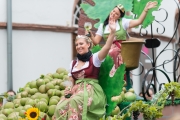 Winzerfest-Umzug 2014, 21.09.2014, Groß-Umstadt