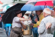 Winzerfest-Umzug 2014, 21.09.2014, Groß-Umstadt