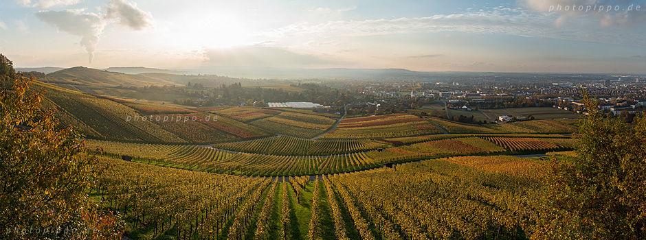 Heilbronner Weinberge im Herbst 2014