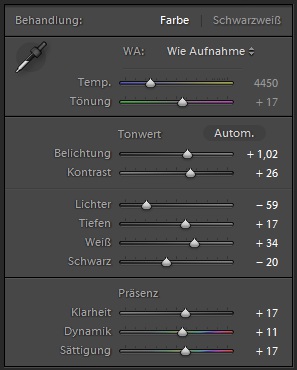 Angepasste Einstellungen in Adobe Lightroom 4