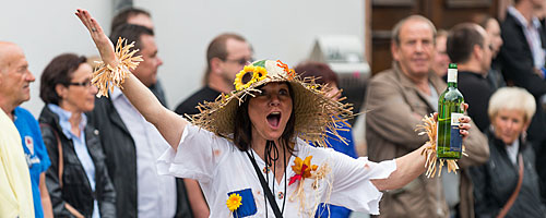 Winzerfest-Umzug 2014, 21.09.2014, Groß-Umstadt