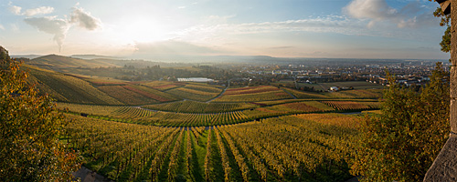 Heilbronner Weinberge im Herbst 2014. Aufgenommen an der ersten Ludwigschanze am Schweinsberg